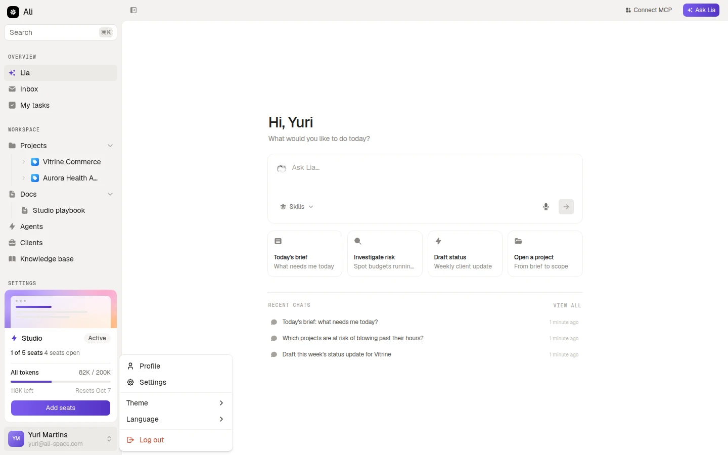 The account menu, with profile, settings, theme, language and log out